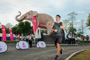 BIB: 
                            <button type="button" onclick="openModal(26529052)" class="btn btn-primary btn-sm float-right btn-popup" data-toggle="modal" data-target=".modal-high-quality">
                        <i class="fas fa-shopping-cart"></i> Add to Cart
                    </button>
                                            <button type="button" onclick="isThisMe(26529052, true)" class="btn btn-success btn-sm float-right btn-popup btn-isme hidden" data-toggle="tooltip" data-placement="bottom" title="นี่คือรูปของคุณใช่ไหม คลิกที่นี่เพื่อเอาเข้าอัลบั้ม">
                        <i class="fas fa-plus"></i> Add to album
                    </button>
                    <button type="button" onclick="isThisMe(26529052, false)" class="btn btn-warning btn-sm float-right btn-popup btn-isnotme hidden">
                        <i class="fas fa-ban"></i> Remove from album
                    </button>